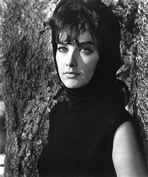 suzanne pleshette net worth|imdb suzanne pleshette.